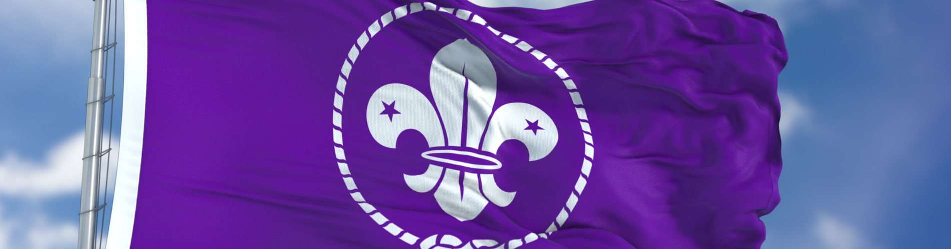 Scouts flag